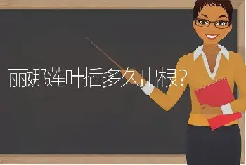 丽娜莲叶插多久出根？