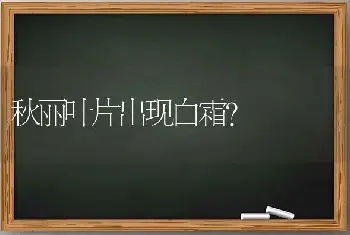 秋丽叶片出现白霜？