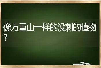 像万重山一样的没刺的植物？