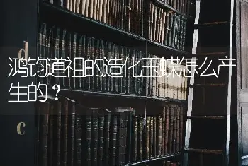 鸿钧道祖的造化玉蝶怎么产生的？