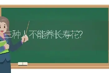 三种人不能养长寿花？