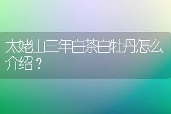 太姥山三年白茶白牡丹怎么介绍？