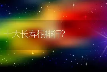 十大长寿花排行？