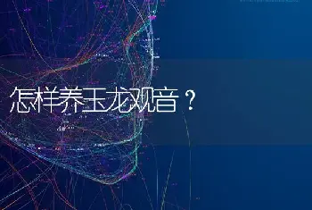 怎样养玉龙观音？