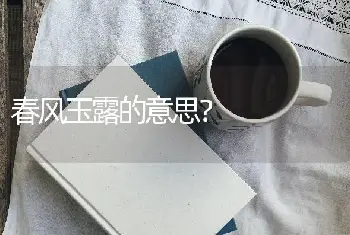 春风玉露的意思？