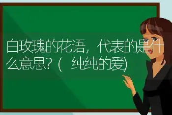 白玫瑰的花语，代表的是什么意思？(纯纯的爱)