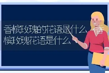 香槟玫瑰的花语是什么 香槟玫瑰花语是什么