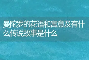 曼陀罗的花语和寓意及有什么传说故事是什么