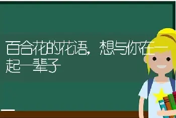 百合花的花语，想与你在一起一辈子