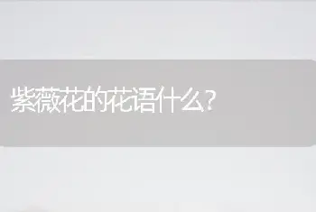 紫薇花的花语什么？