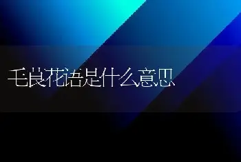 毛茛花语是什么意思