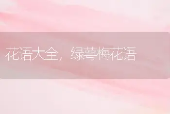 花语大全，绿萼梅花语