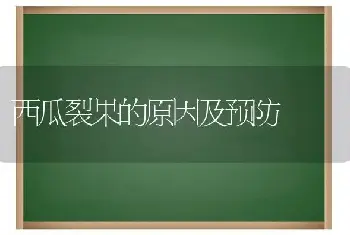 西瓜裂果的原因及预防