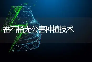 番石榴无公害种植技术