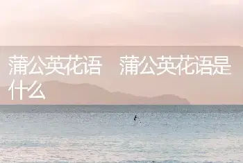 蒲公英花语 蒲公英花语是什么