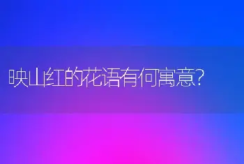 映山红的花语有何寓意？