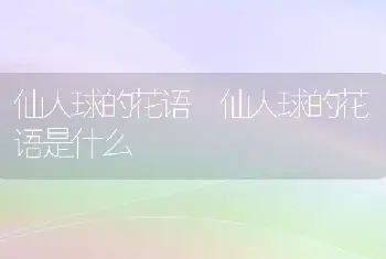 仙人球的花语 仙人球的花语是什么