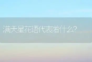 满天星花语代表着什么？