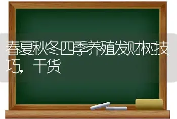 春夏秋冬四季养殖发财树技巧，干货