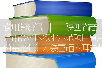 食用菌资讯 | 陕西省商洛市商州区农业示范项目食用菌基地40万袋富硒木耳喜获丰收