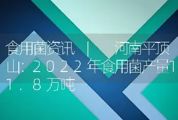 食用菌资讯 | 河南平顶山：2022年食用菌产量11.8万吨