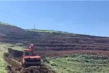 食用菌资讯 | 贵州盘州市乌蒙镇褐灵芝菇项目建设加快