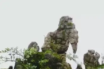 山水盆景 | 怎样给山水盆景配植植物