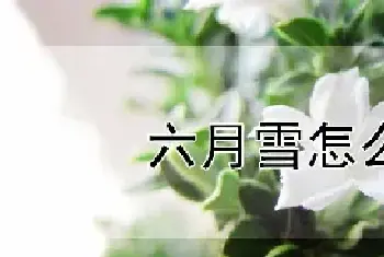 六月雪怎么施肥