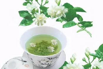 茉莉花最早起源？