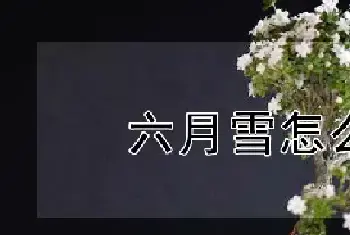 六月雪怎么浇水