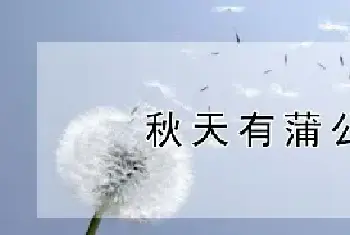 秋天有蒲公英吗