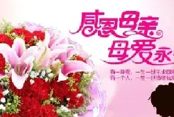 康乃馨的花语是什么，十二种花色十二种花语/不朽的母爱有哪些？