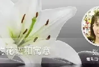 百合的花语和寓意