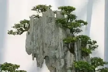 山水盆景 | 运用散点石布局制作山水盆景时的注意事项